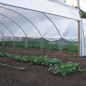 FarmTek GrowSpan Single Bay Tunnel Greenhouse | High Tunnel With Durable Steel Frame, UV-Resistant Film