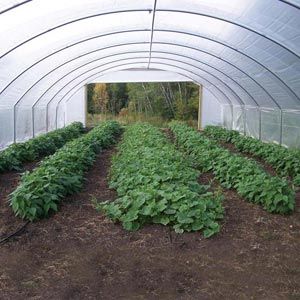 FarmTek GrowSpan Single Bay Tunnel Greenhouse | High Tunnel With Durable Steel Frame, UV-Resistant Film