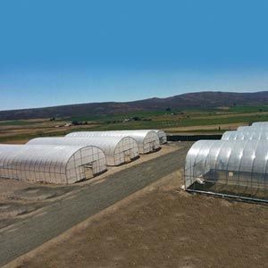 FarmTek GrowSpan Series 500 Tall High Tunnel Greenhouse System | Superior Ventilation | Tall Sidewalls For Maximum Growing Space