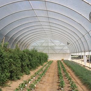 FarmTek GrowSpan Series 500 Tall High Tunnel Greenhouse System | Superior Ventilation | Tall Sidewalls For Maximum Growing Space