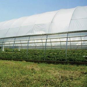 FarmTek GrowSpan 30'W Round Premium Extra Tall Tunnel Greenhouse System | 12' Height | Enhanced Crop Yield & Quality