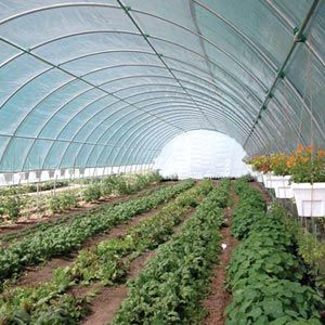 FarmTek GrowSpan 20'W Round Premium Extra Tall Tunnel Greenhouse System | High Yield | Durable Design