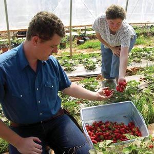 FarmTek GrowSpan Round High Tunnel Greenhouse System | Durable Season Extension | Heavy-Duty Frame