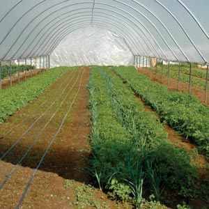 FarmTek GrowSpan Single Bay Tunnel Greenhouse | High Tunnel With Durable Steel Frame, UV-Resistant Film